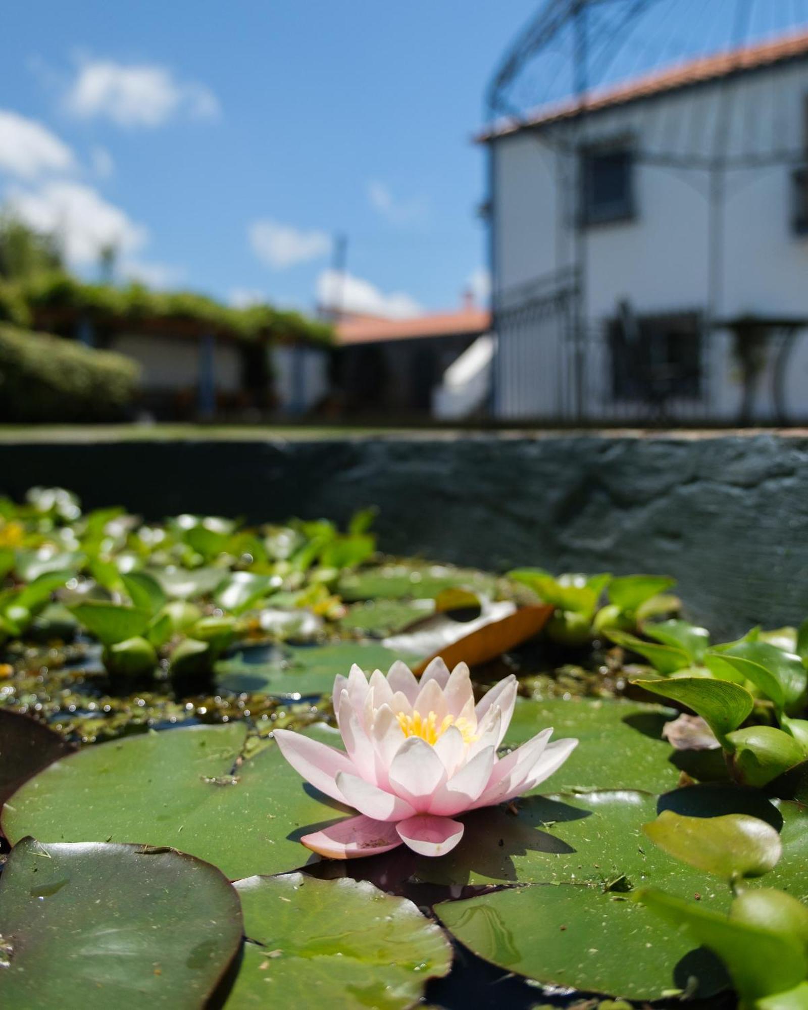 Quinta Morazes Casas De Campo Ribeira Grande Bagian luar foto
